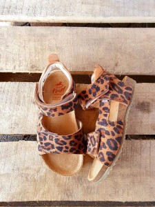 Emel E2509A-6 (26-31)