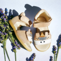 PhotoRoom-20230505_202101.png